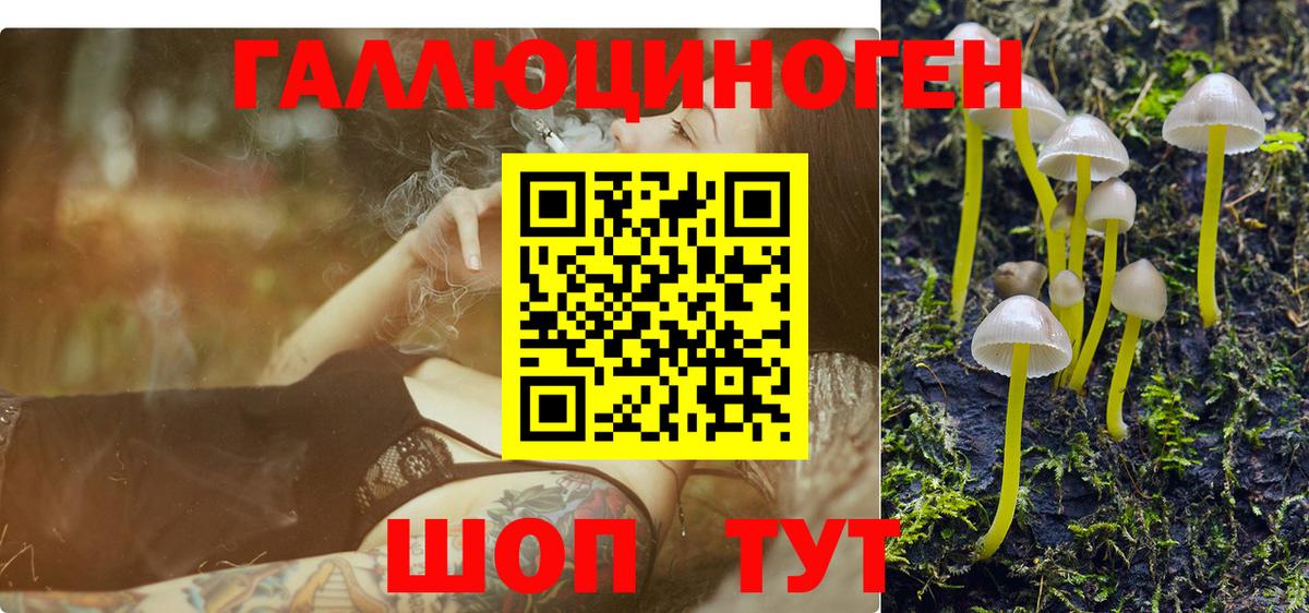 Псилоцибиновые грибы MAGIC MUSHROOMS Трёхгорный