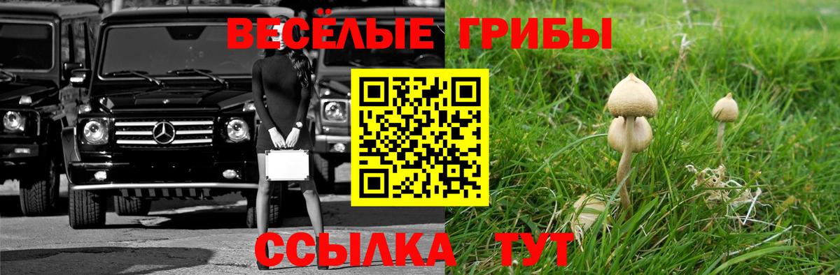 наркота  Вход с VPN  Трёхгорный  Псилоцибиновые грибы ЛСД 